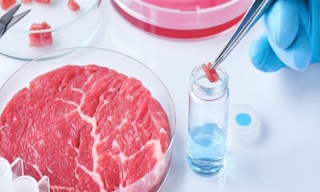 Лабораторный анализ пищевых продуктов по СанПиН в Долгопрудном в октябре