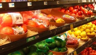 Сертификация пищевой продукции в Долгопрудном – цена от 10146 руб. | ПромМир