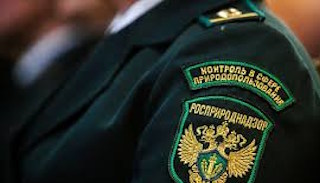 Подготовка к проверке Росприроднадзора в Долгопрудном от ПромМир, стоимость услуги от 20292 руб.